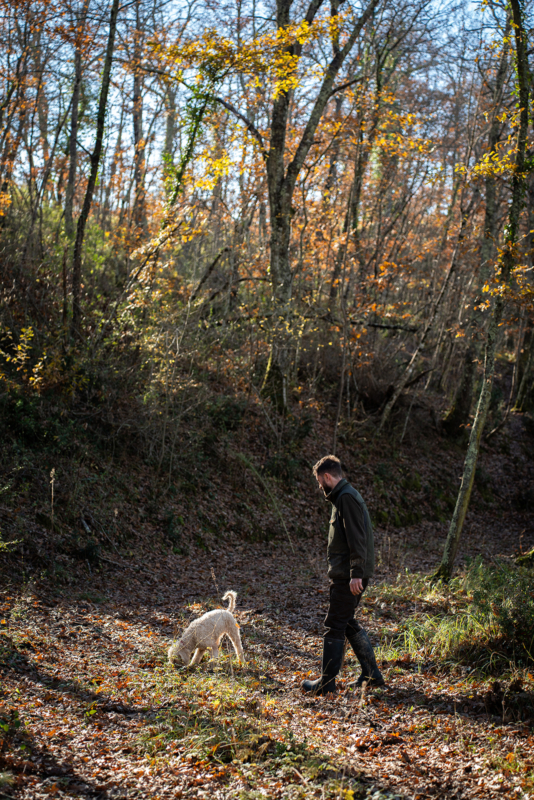 01 truffle hunting gallery