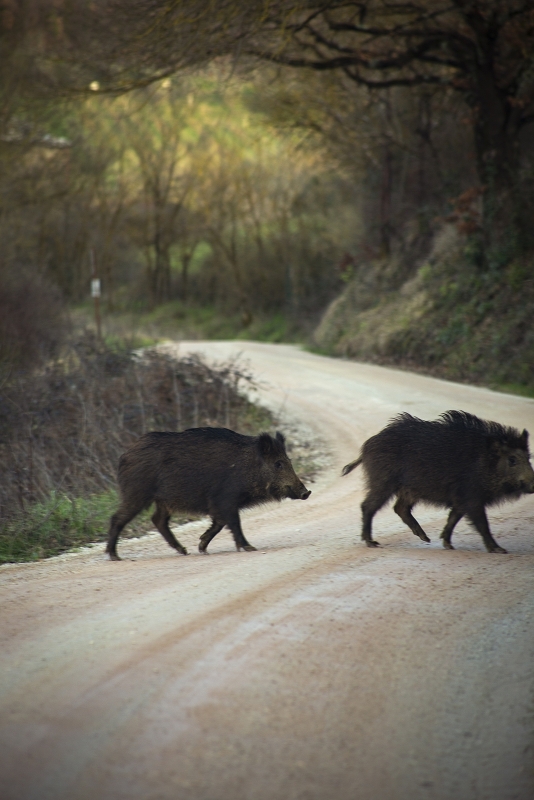 02 wilde side gallery