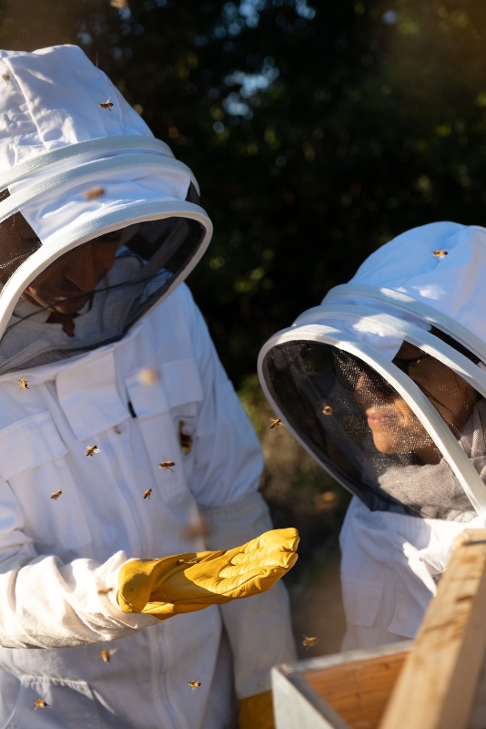 03 queen bee gallery