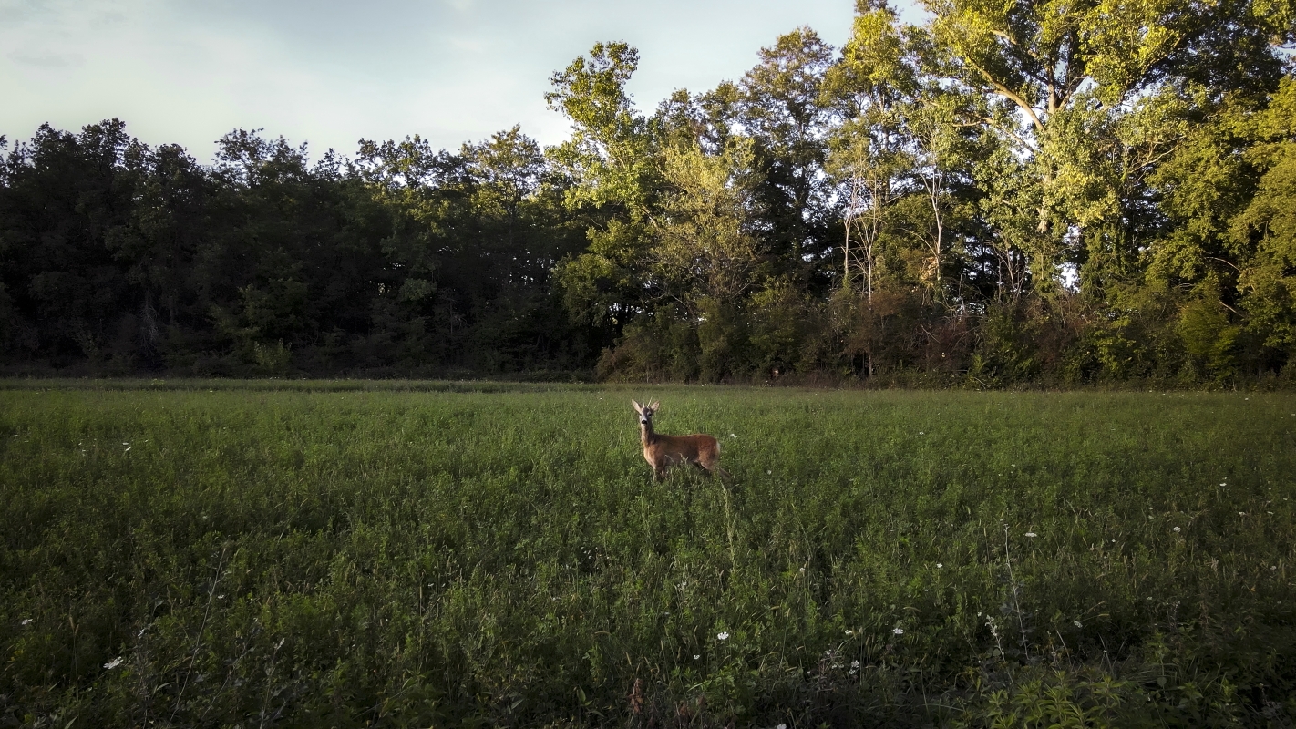 03 wilde side gallery