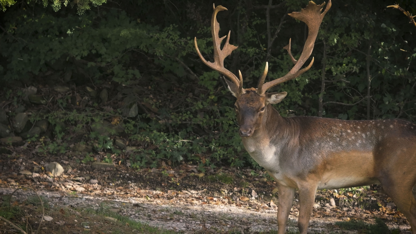 07 wilde side gallery
