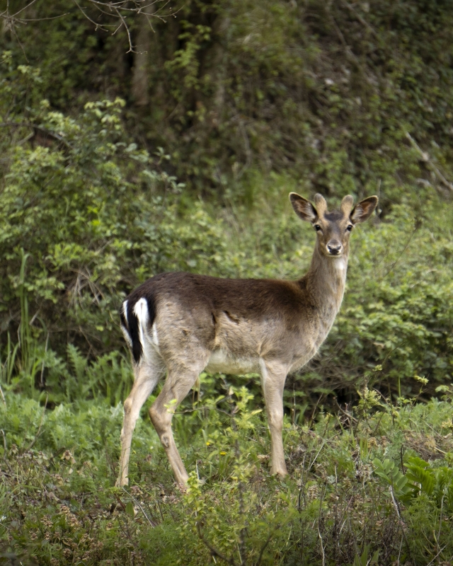 08 wilde side gallery