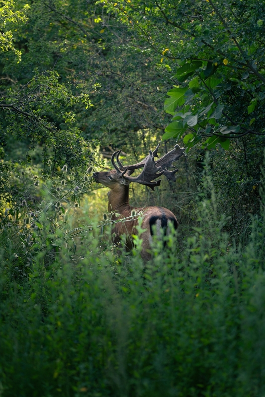 10 wilde side gallery