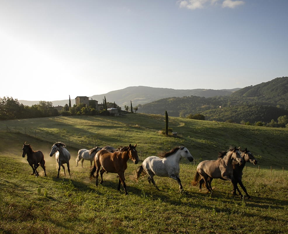 10 2025 05 22 150603 qxod