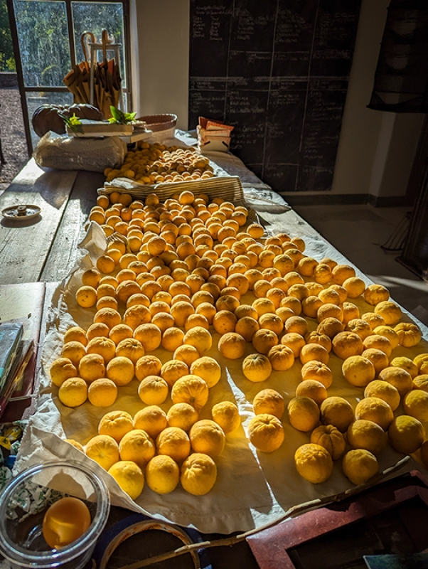 11 2025 09 26 083033 qpiv