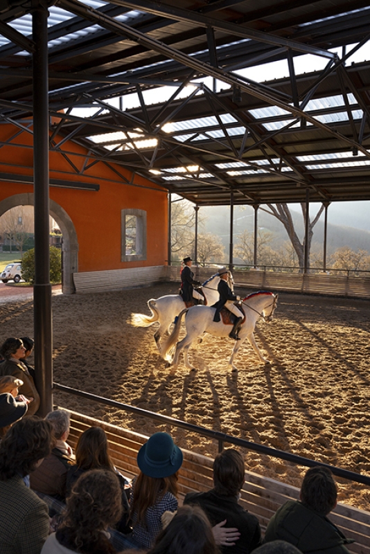 12 2025 05 22 150612 psfb