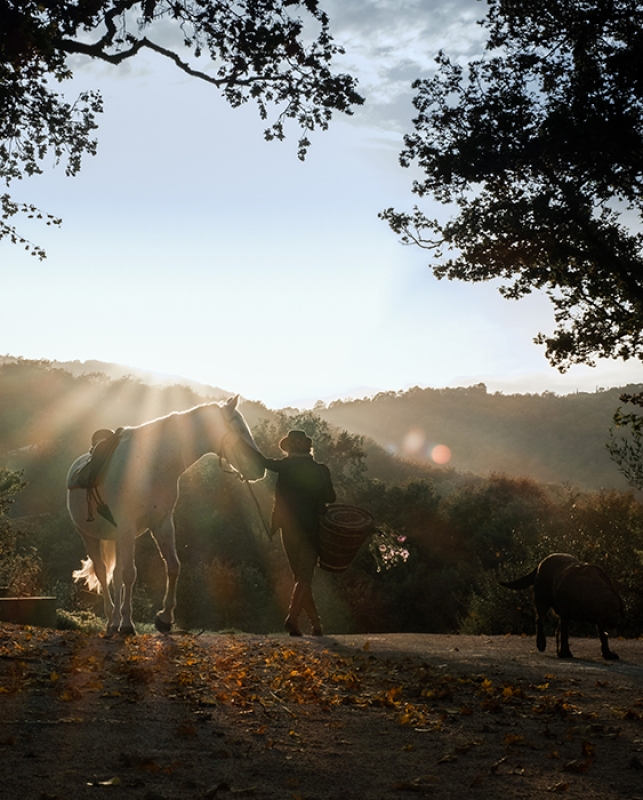 14 2025 09 26 083046 ifez