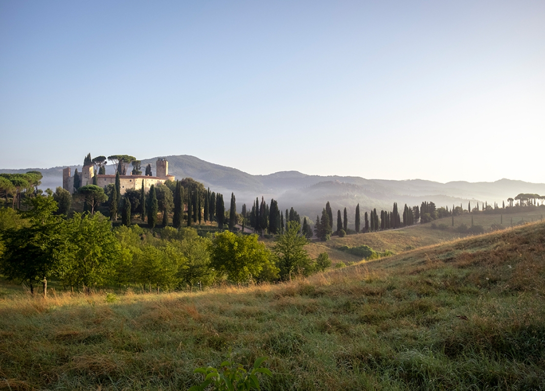 1 2024 08 02 081901 wlpt