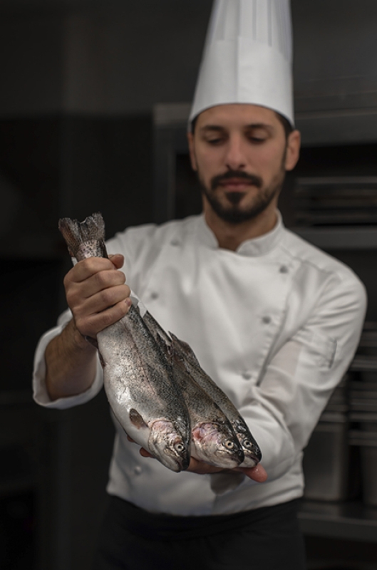 1 2025 03 31 075217 echd