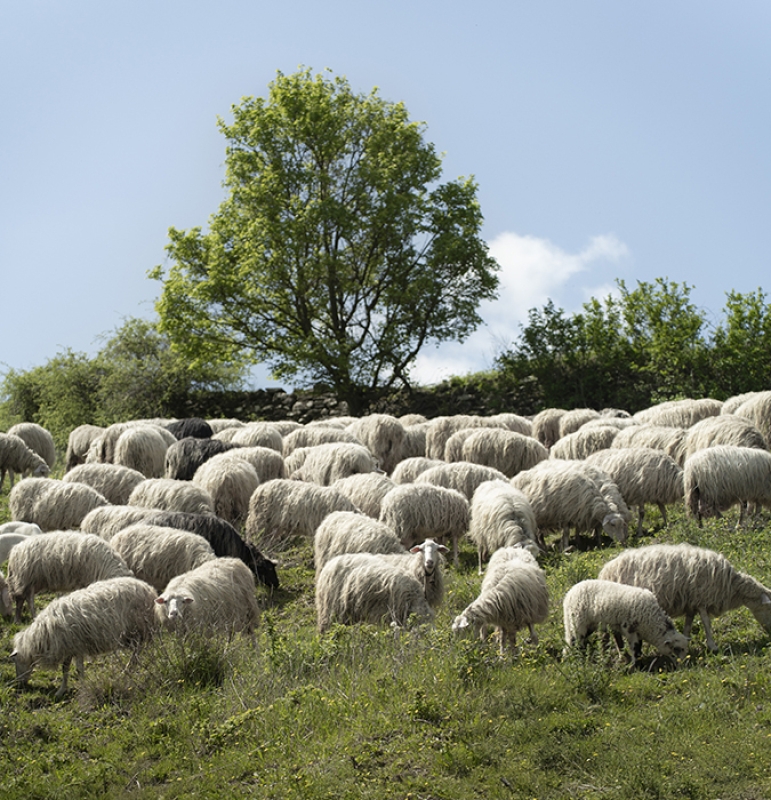 1 2025 05 05 093340 zuyg