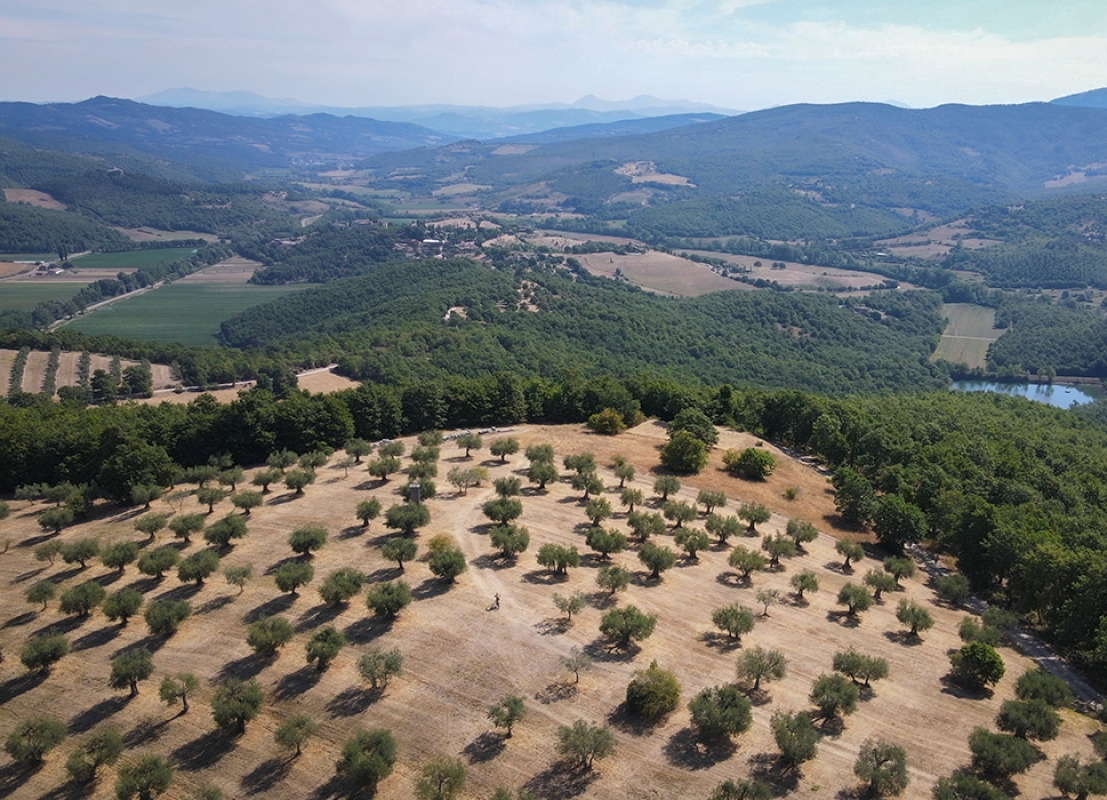 3 2024 11 27 092904 qfdh