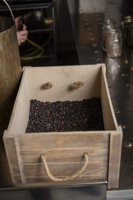 4 2024 04 29 104408 kgoq