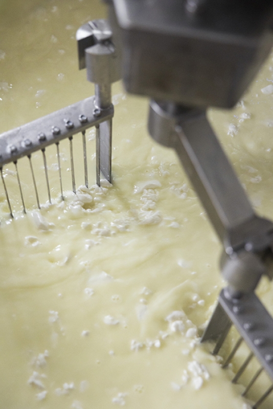 4 2025 05 05 093404 dckl