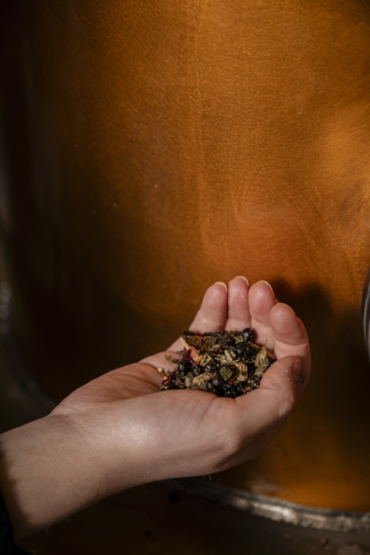 5 2024 04 29 104516 zisv