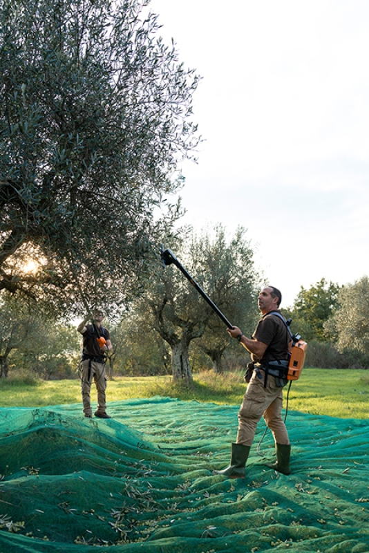 5 2024 11 27 092914 zjai