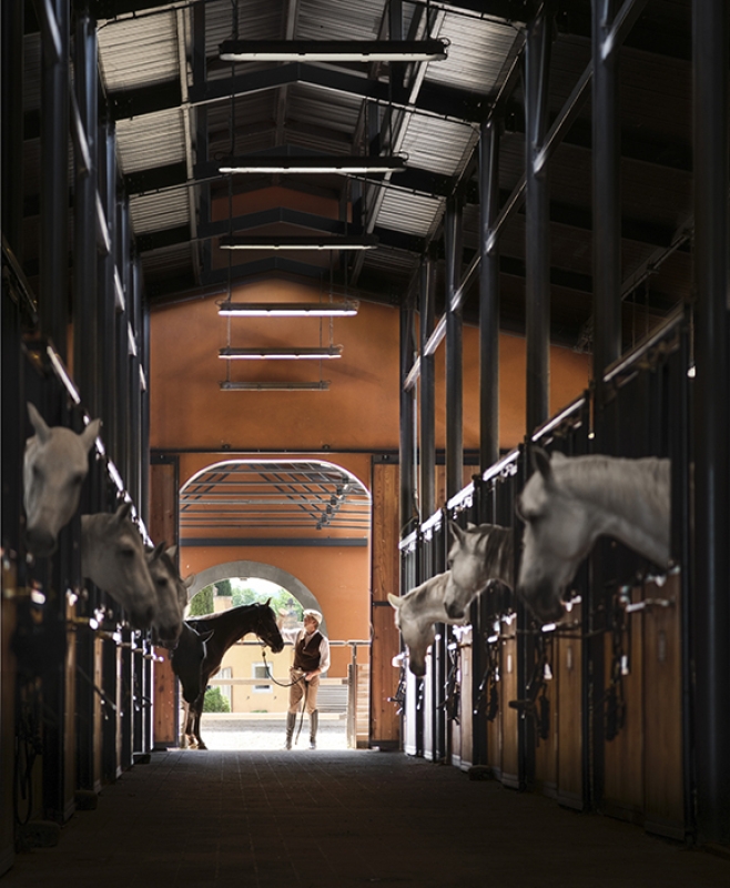 5 2025 05 22 150411 wgtm