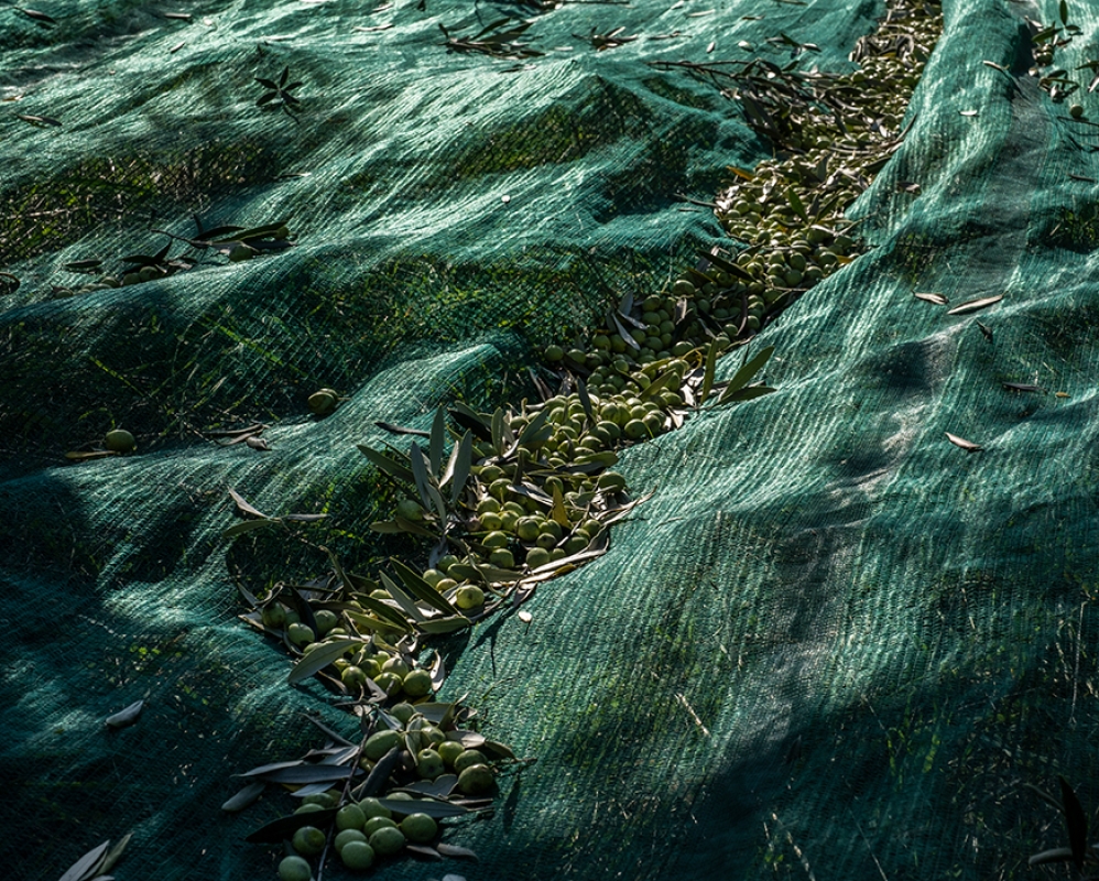 6 2024 11 27 092919 wtry