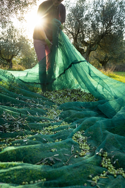 7 2024 11 27 092924 mczm