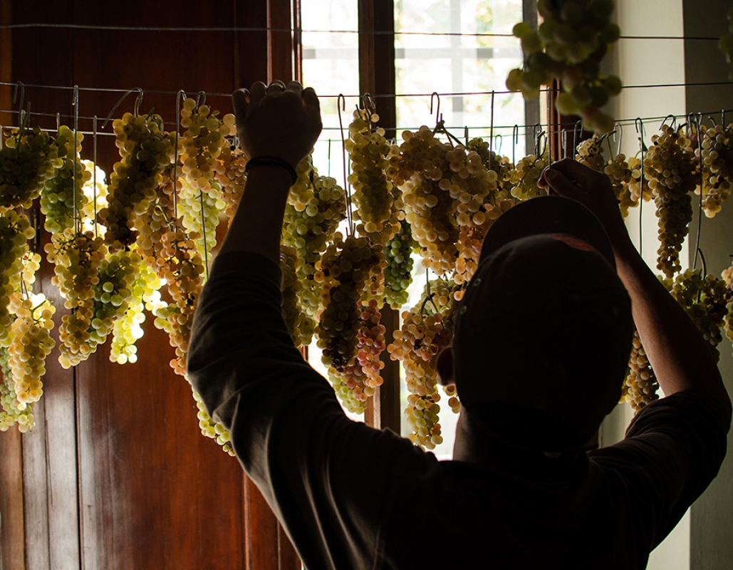 8 2025 09 26 083019 xvva