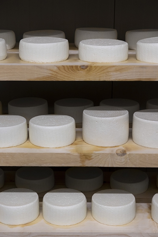 9 2025 05 05 093427 tksb