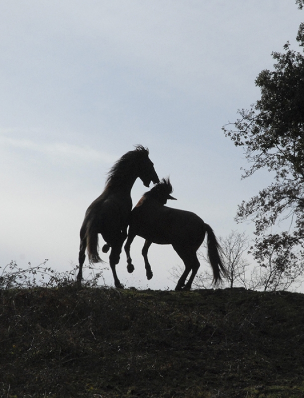 9 2025 05 22 150428 airi