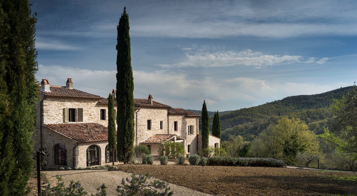 Cercoschene horizontal new 1