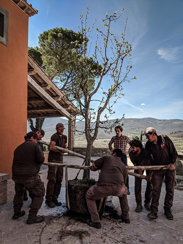 December 2020 horizontal 14