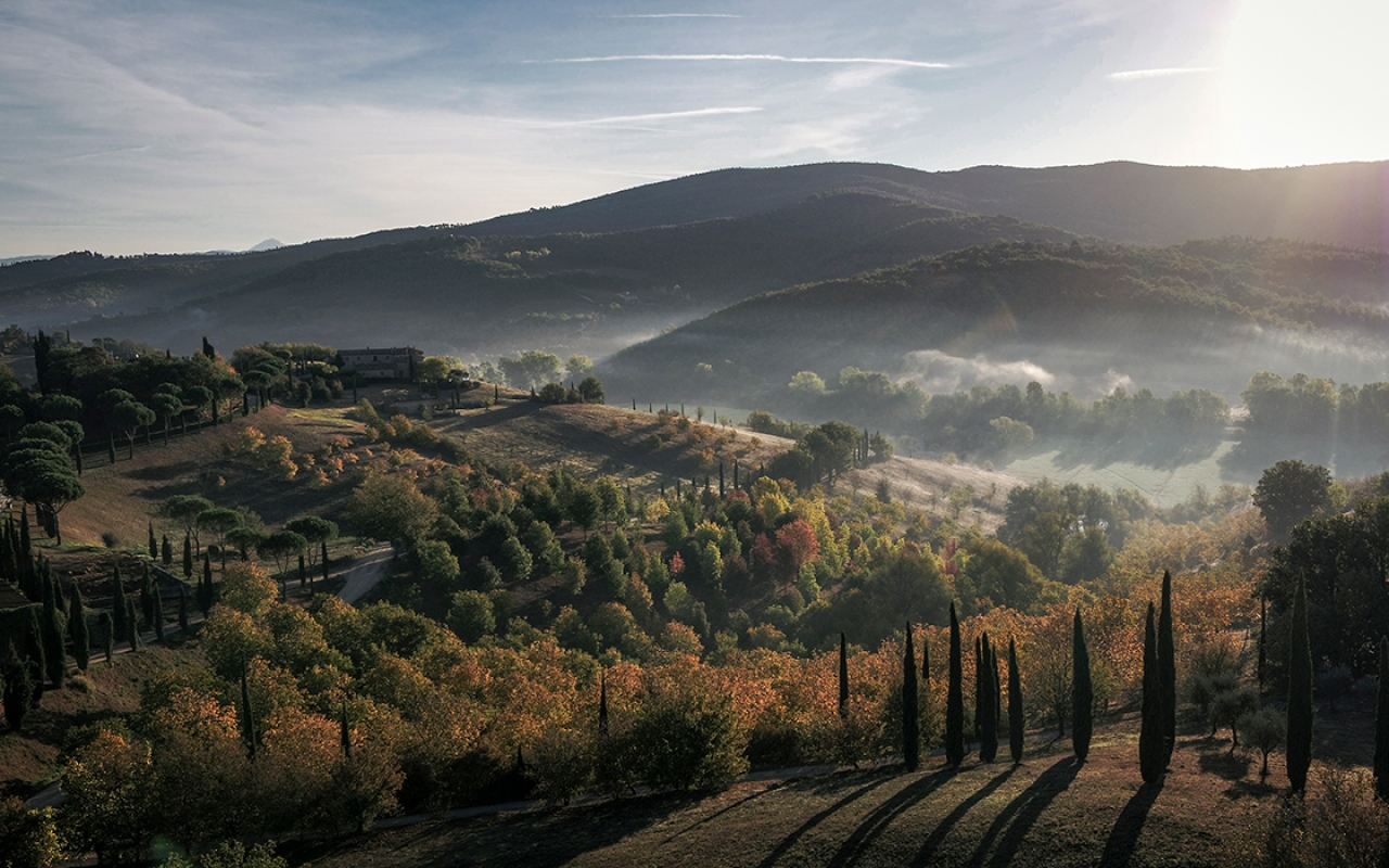 December 2020 horizontal 17