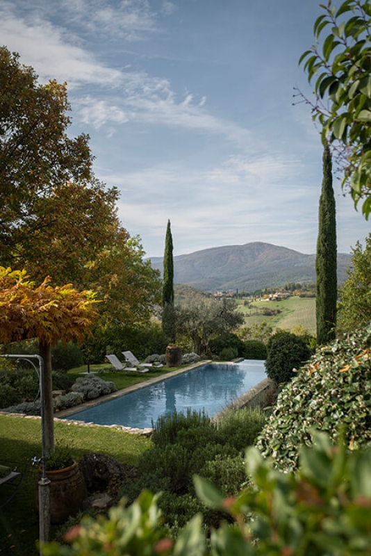 Decmber 2021 horizontal 1