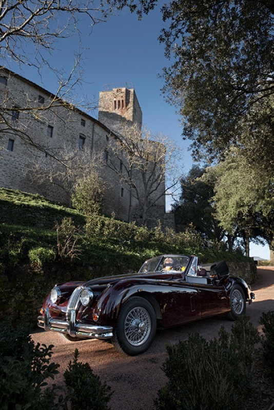 February 2021 twl horizontal 3