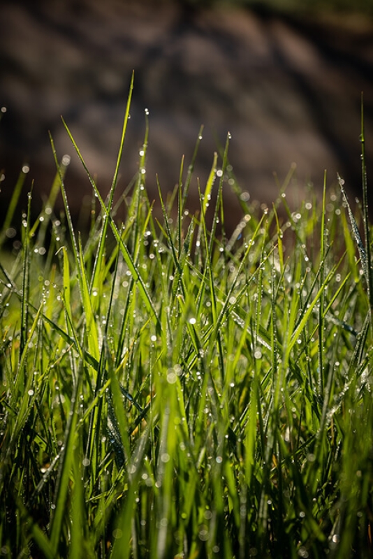 February horizontal 10