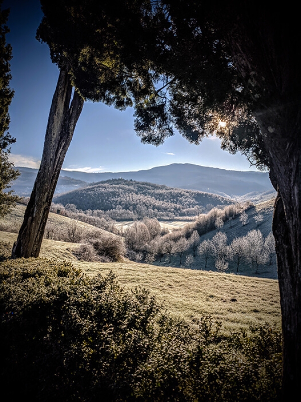 February horizontal 11