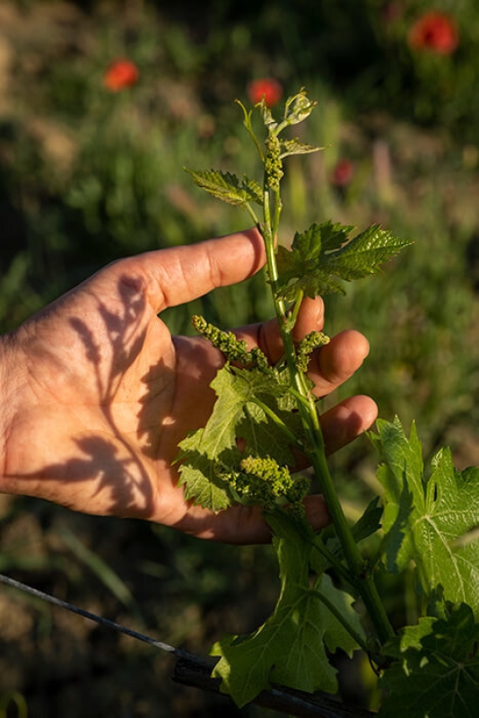 February horizontal 13