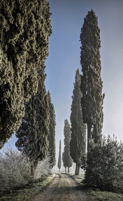 February horizontal 3