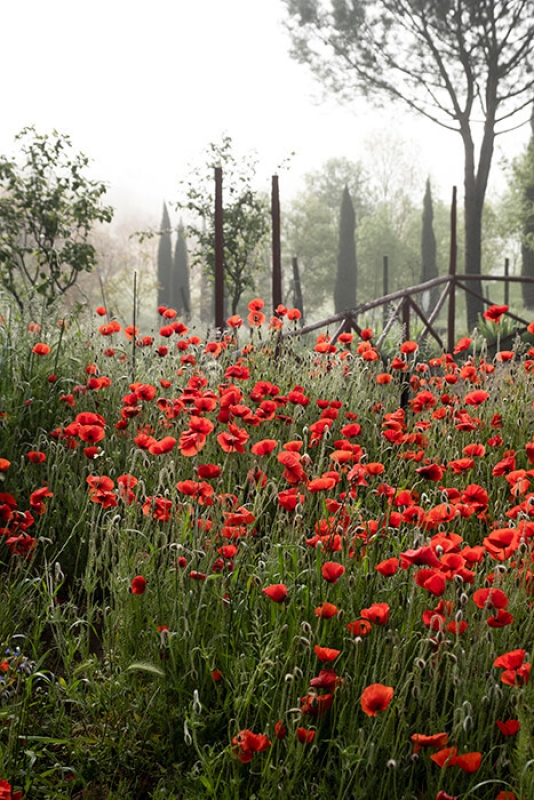 February horizontal 6