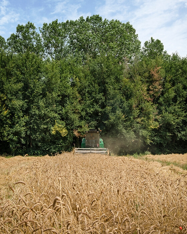 Horizontal september 2021 2