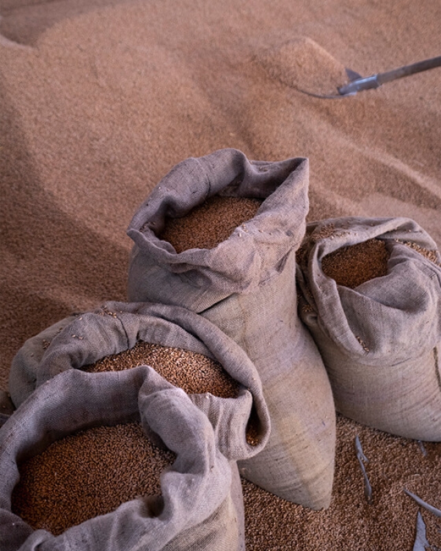 Horizontal september 2021 8