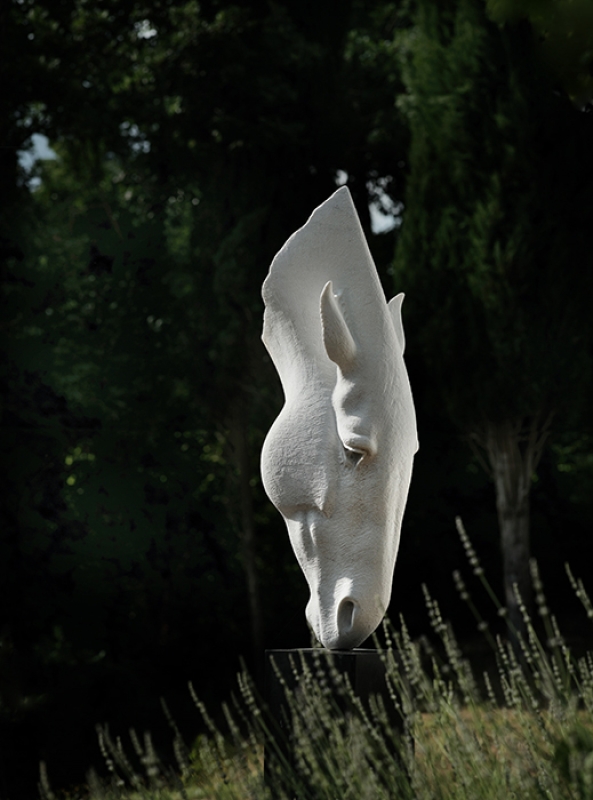 July 2022 horizontal 05