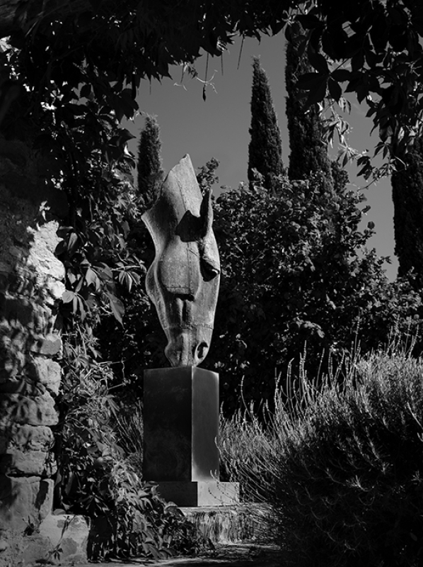 July 2022 horizontal 09