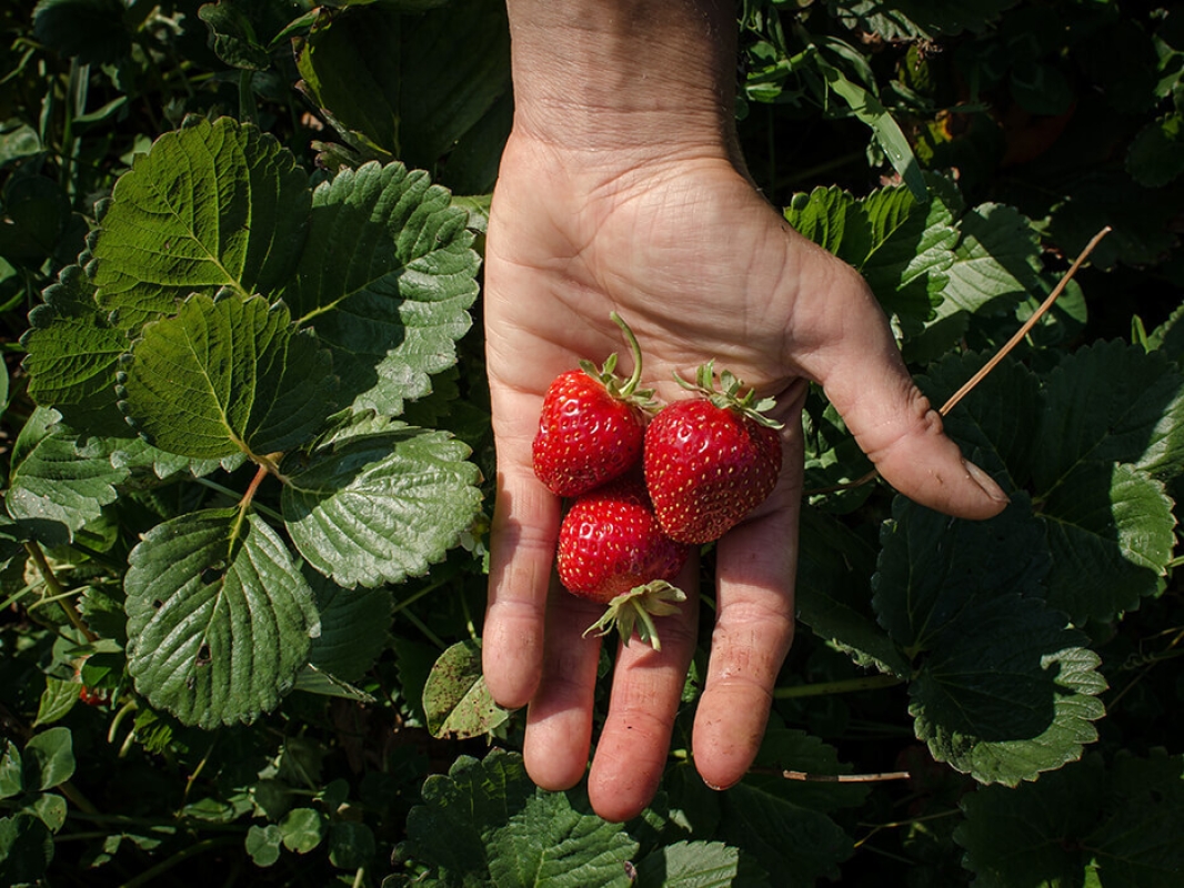 May 2022 horizontal 15