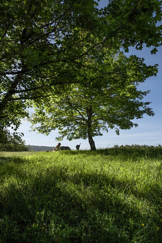 May 2022 horizontal 17