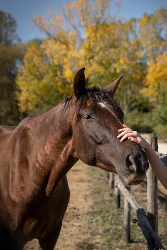 May 2022 horizontal 7