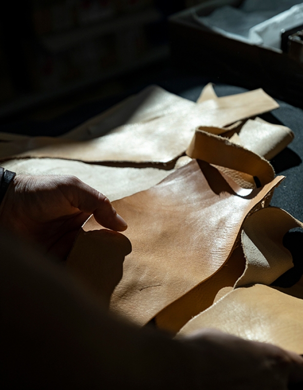 November 2022 horizontal 2