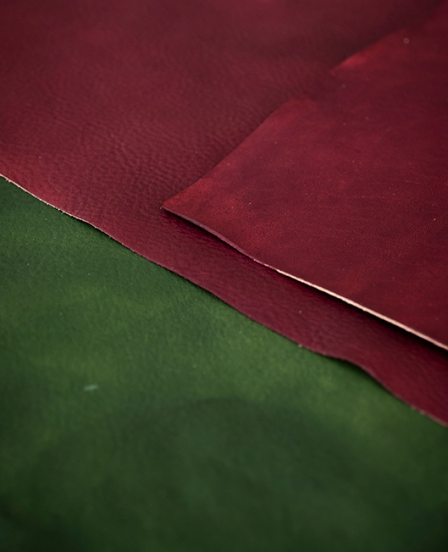 November 2022 horizontal 5