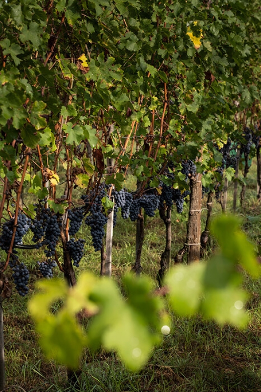 October 2020 gallery 4