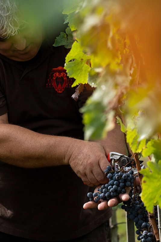 October 2020 gallery 6