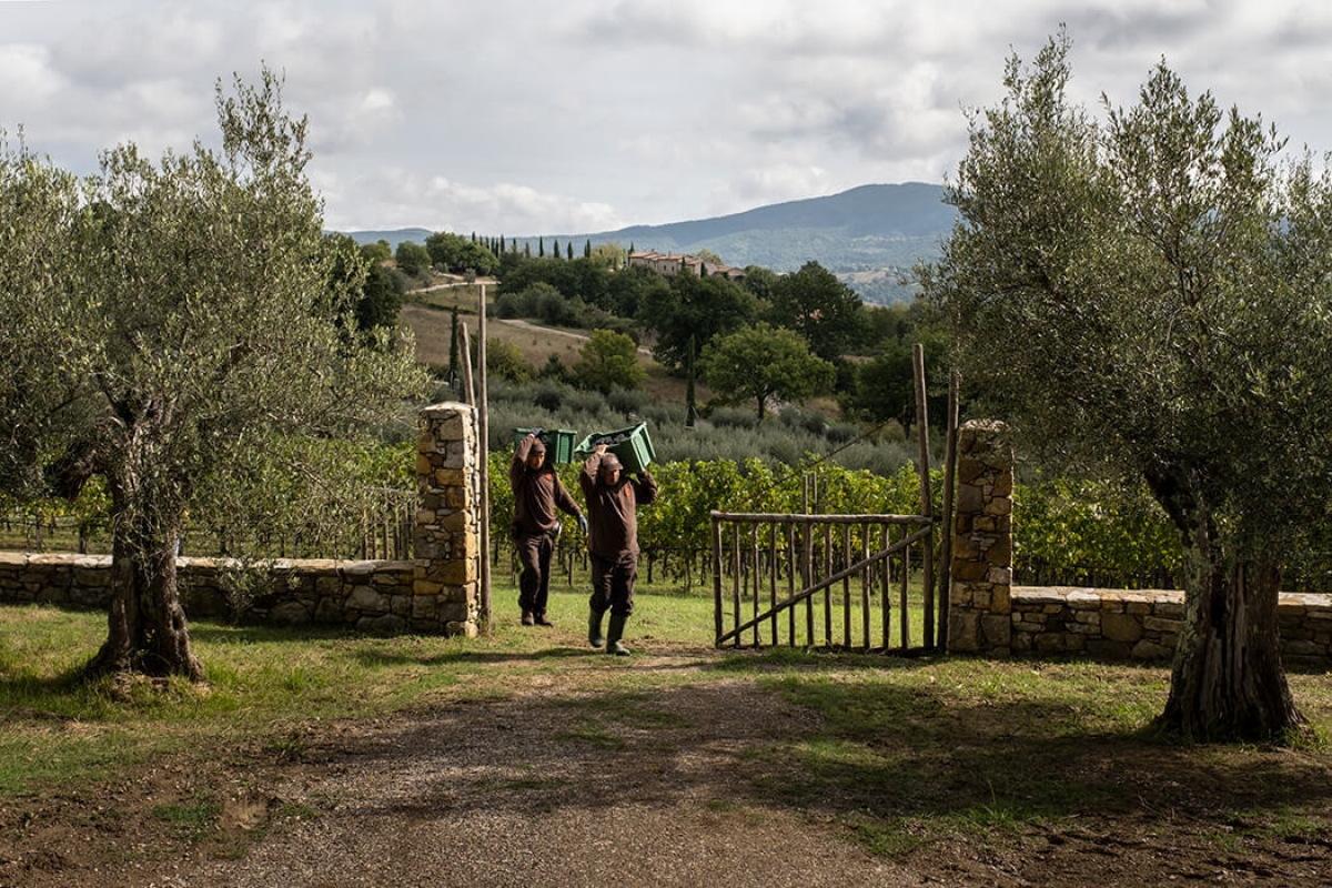 October 2020 gallery 8