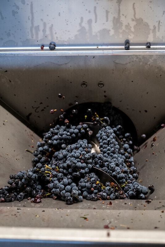 October 2020 gallery 9