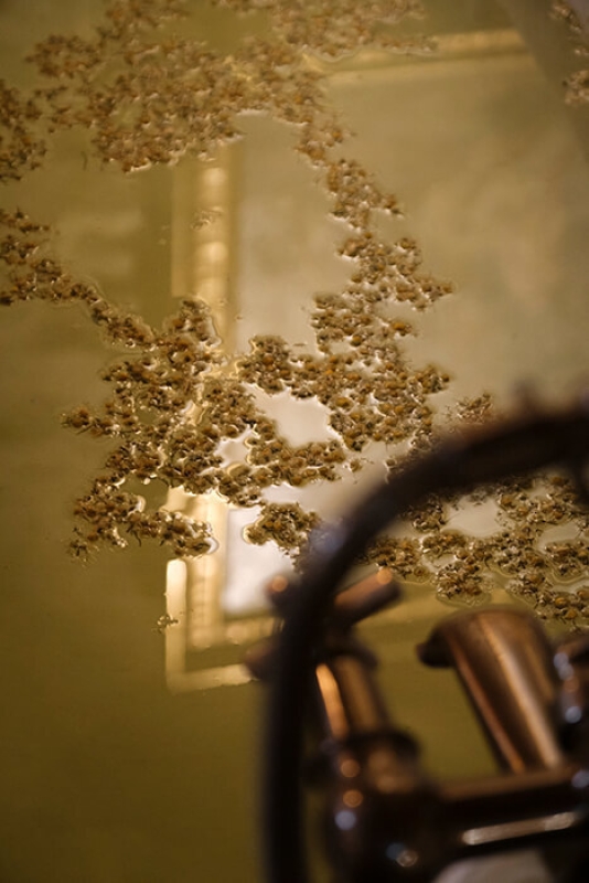 October 2021 horizontal 11