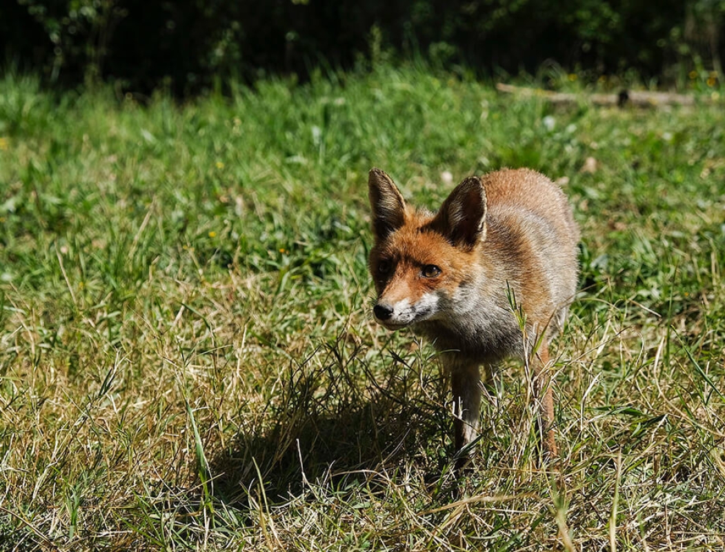 October 2022 horizontal 10